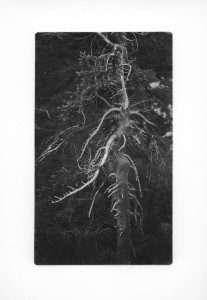 Sticks and Stones 12 copy